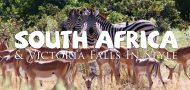 South Africa in Style | Out Adventures