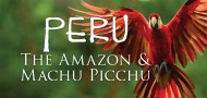 Amazon & Machu Picchu | Out Adventures