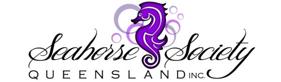 Seahorse Society of Queensland Inc