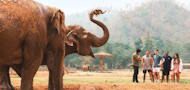 Northern Thailand | Contiki