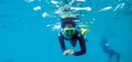 Contiki Dive to Adventure